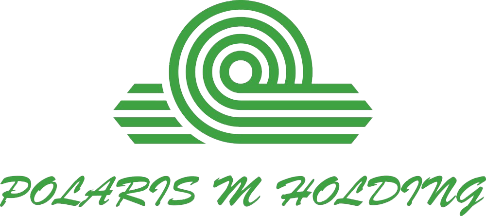 Polaris M Holding - Logo